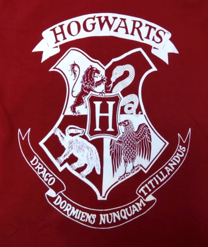 Harry Potter Langarmshirt in dunkelrot